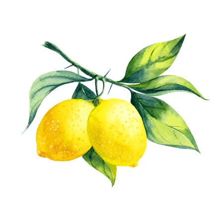 An Awesome Hydrating & Detangling Citrus Moisturizing Hair Conditioner